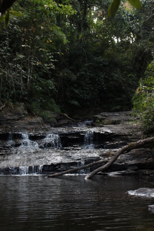 India 2010 - Coorg - Honey Valley - Trek to the Swimming Hole